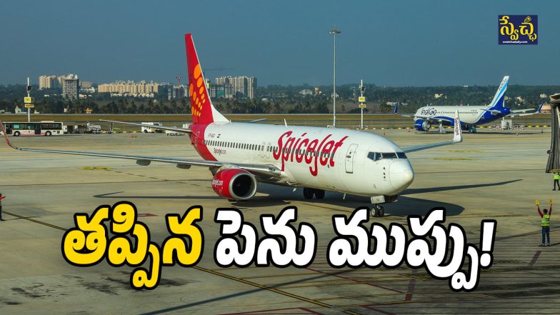 SpiceJet flight (Image Source: Twitter)