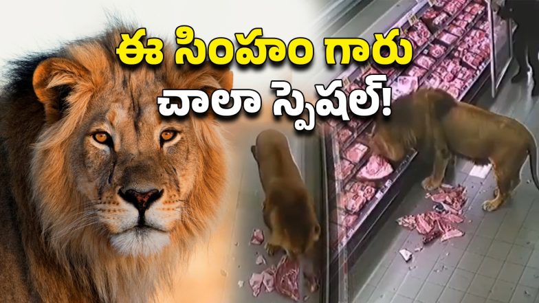 Lion Viral Video (Image Source: Twitter)