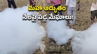 Viral Video (Image Source: Twitter)
