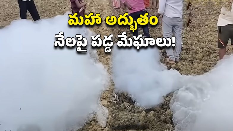 Viral Video (Image Source: Twitter)