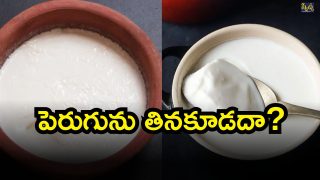 Curd ( Image Source: Twitter)