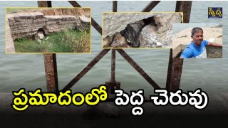 Kamalapur Pedda Lake (imagcredit:swetcha)