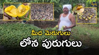 Mango Farmers (imagecredit:swetcha)