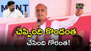 Harish Rao on CM Revanth( IMAGE credit: twitter)