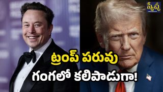 Elon musk on Trump (Image Source: Twitter)