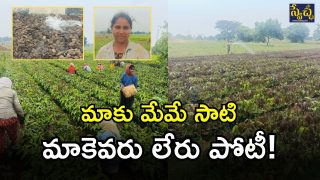Khammam District Farmers (imagecredit:swetcha)