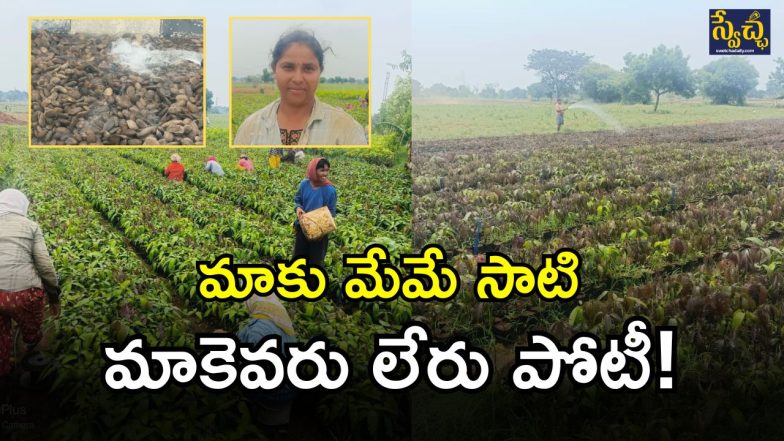 Khammam District Farmers (imagecredit:swetcha)