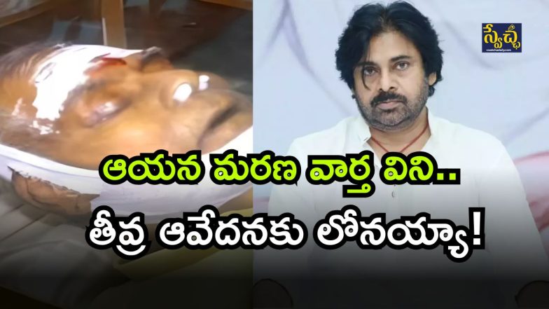 AP Deputy CM Pawan ( Image Source : Twitter)