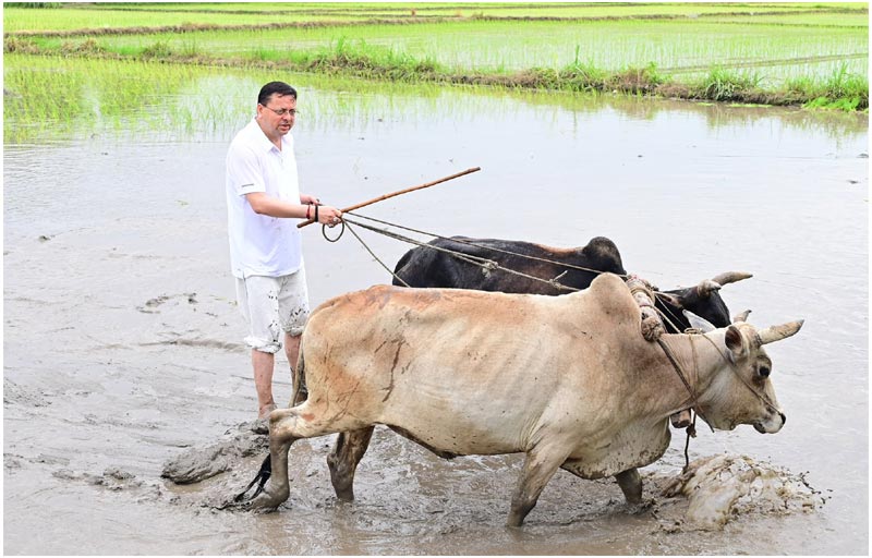 CM Pushkar Singh Dhami