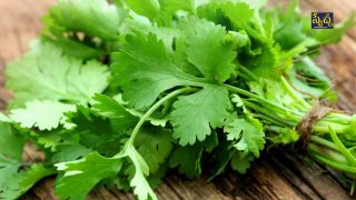 Coriander ( Image Source: Twitter)