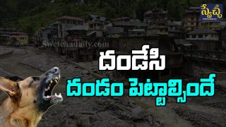 Dog Saves 67 Lives