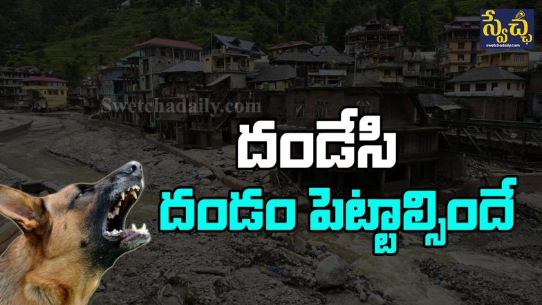 Dog Saves 67 Lives