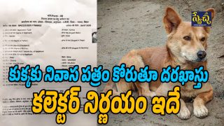 Dogesh Babu