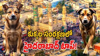 GHMC 1st Position (Image Source: Twitter And AI)
