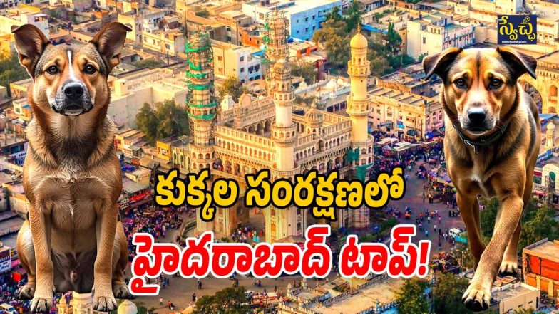 GHMC 1st Position (Image Source: Twitter And AI)