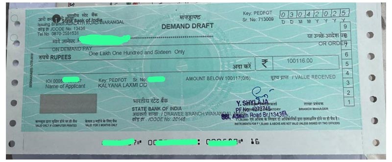 Kaushik Reddy Cheque