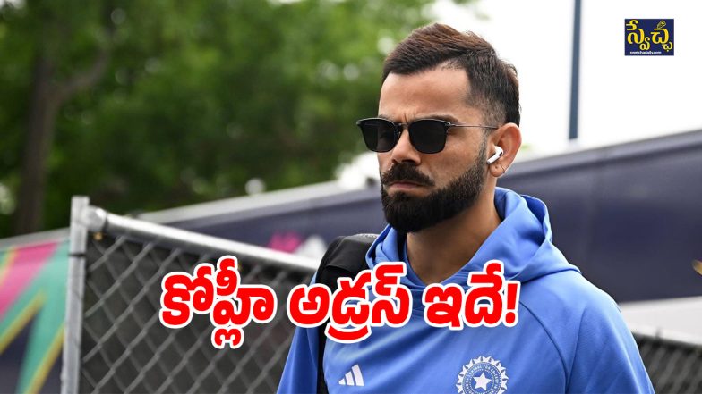 Trott on Kohli (Image Source: Twitter)