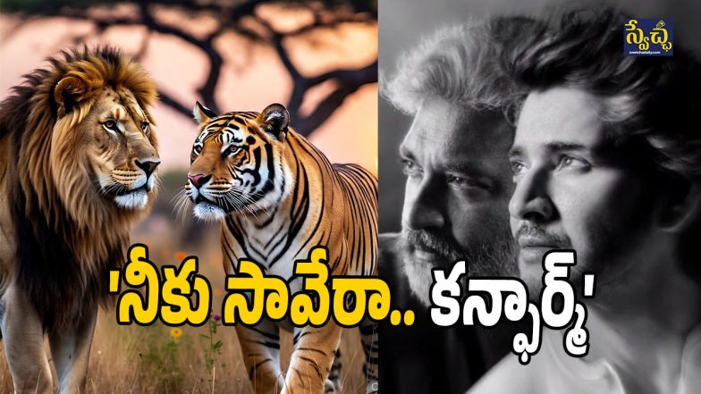 SSMB29 (Image Source: Twitter)