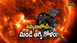NASA’s Parker Solar (Image Source: Twitter)