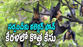 Nipah Case
