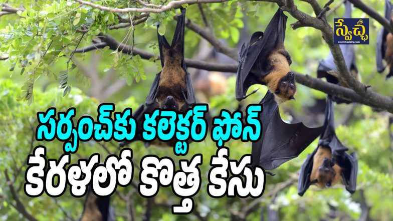 Nipah Case