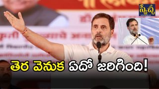 Rahul Gandhi (IMAGE CREDIT: TWITTER)