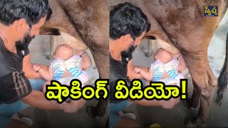 Viral Video ( Image Source: Twitter)