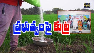 fertilizer