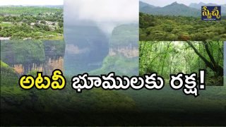 Forest Lands( IMAGE credit: twitter or free pic)