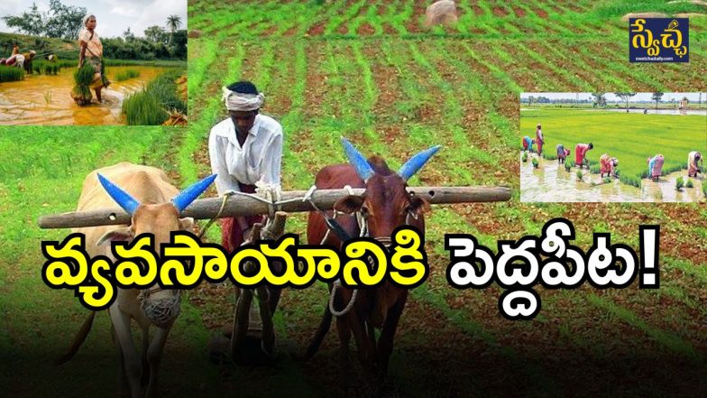 PM Dhan Dhanya Krishi Yojana (Image credit: twitter)