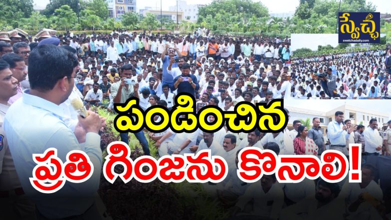 Seed Cotton Companies (Image CrediT: swetcha repporter)