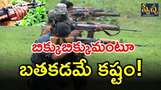 Chhattisgarh Maoists ( IMAGE credit: twitter)