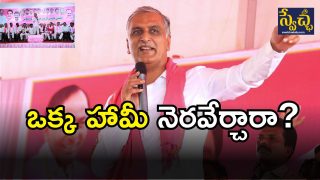 Harish Rao on KCR( IMAGE credit: twitter or swetcha reporter)