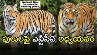 NTCA Study (imagcredit:twitter)