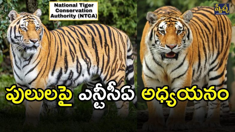 NTCA Study (imagcredit:twitter)