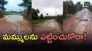 Dammapeta mandal (imagecredit:swetcha)
