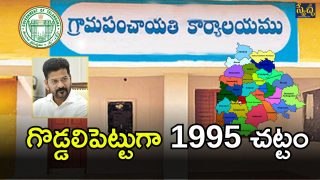 Panchayat Elections (imagecredit:twitter)