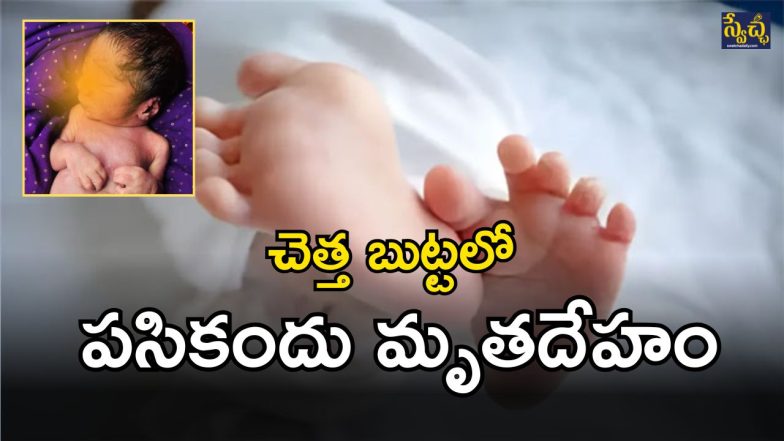 Sangareddy Tragic (imagecredit:swetcha)