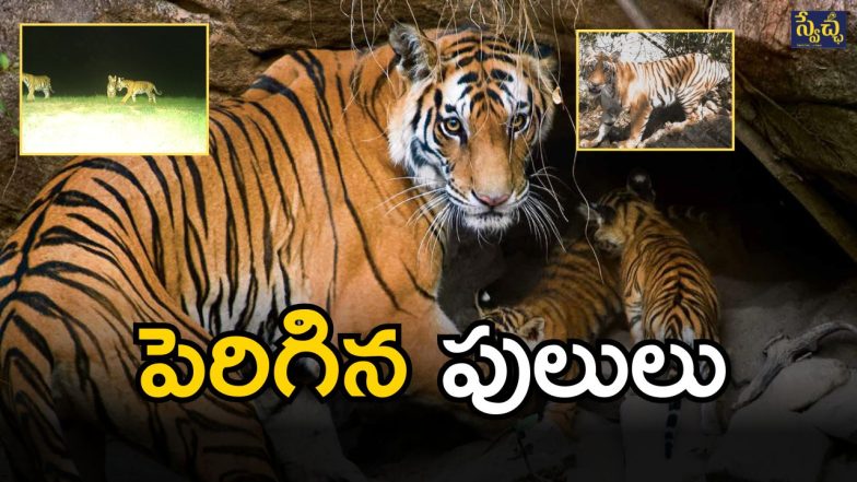 Amrabad Tiger Reserve Forest (imagecredit:twitter)