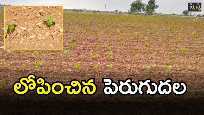 Farmers Worried (imagecredit:swetcha)