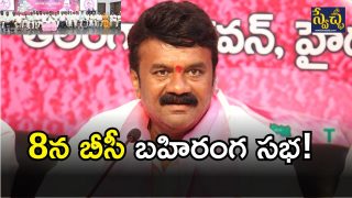 Talasani Srinivas Yadav( IMAGE credit: twiiter or swetcha reporter)