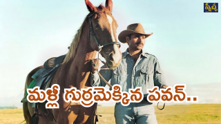 pawan kalyan ( image source X)