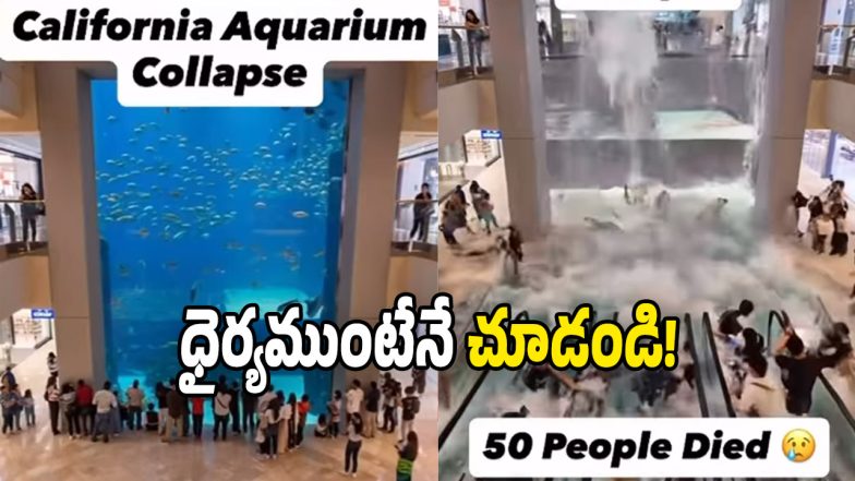 Viral Video (Image Source: Twitter)