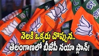 BJP Telangana strategy