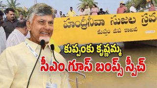 CM Chandrababu (Image Source: Twitter)