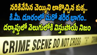 Crime-News