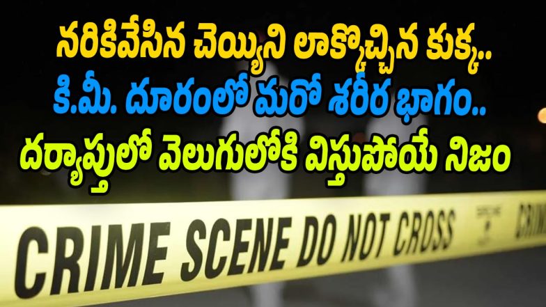 Crime-News