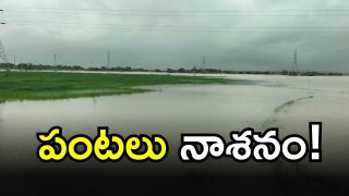 Medak District Rains 9 IMAGE credit: swetcha reporter)