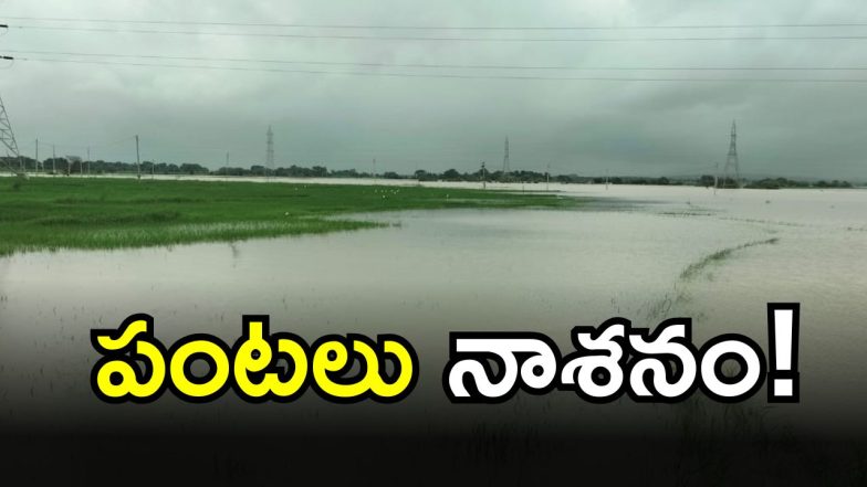 Medak District Rains 9 IMAGE credit: swetcha reporter)