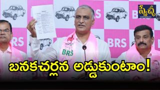 Harish Rao(Image Credit: swetcha reporter)